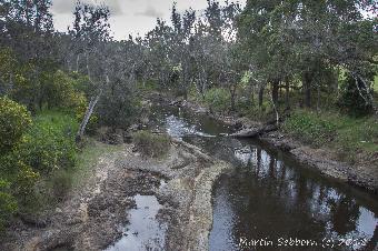The river in Nannup